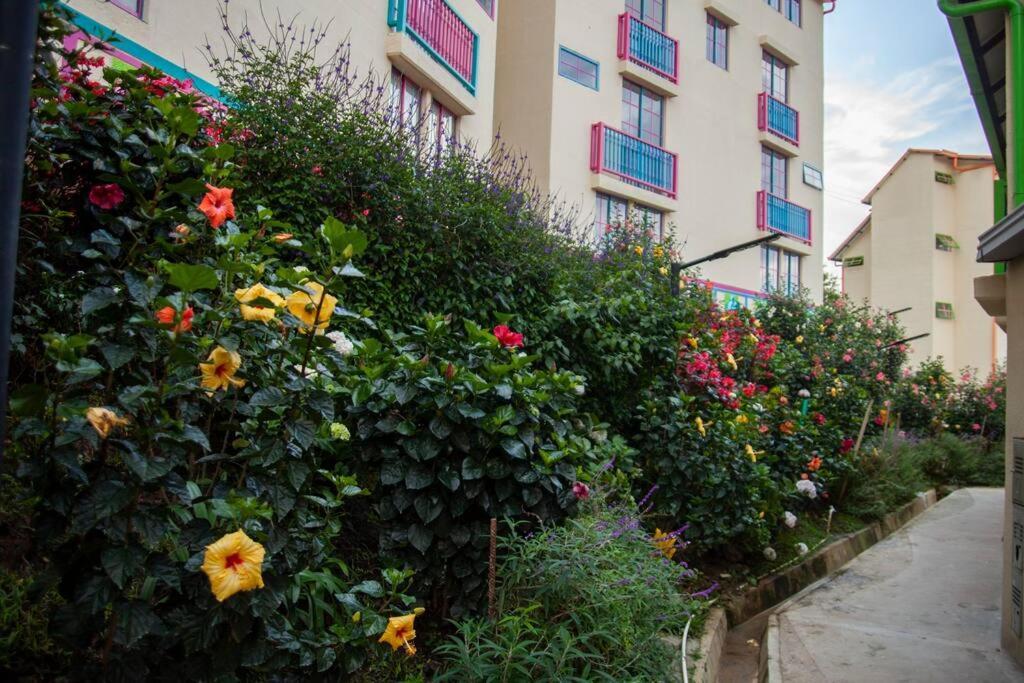 Duplex Familiar Apartment Nature غواتابيه المظهر الخارجي الصورة