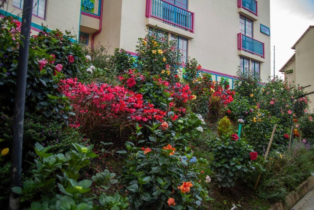 Duplex Familiar Apartment Nature غواتابيه المظهر الخارجي الصورة